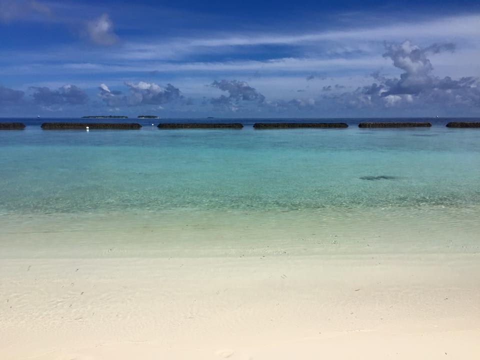 maldives`